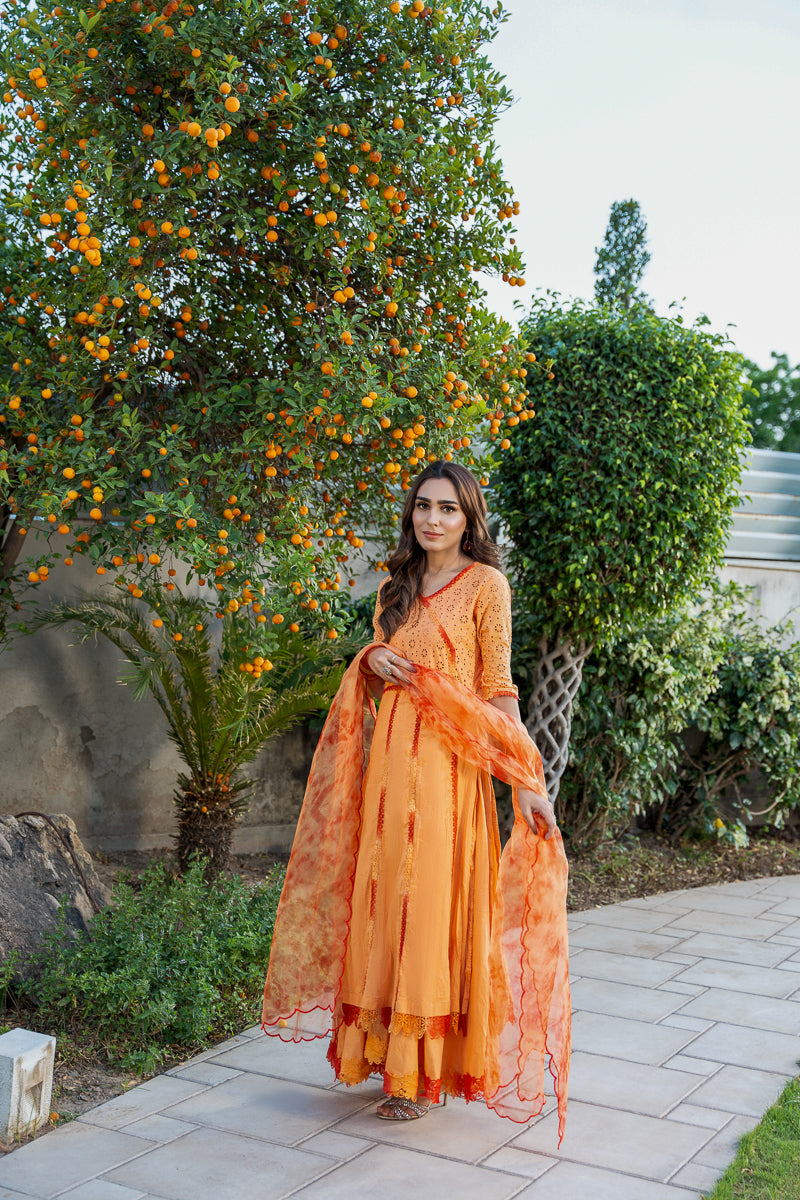 misha orange dress MISH MINI DRESS