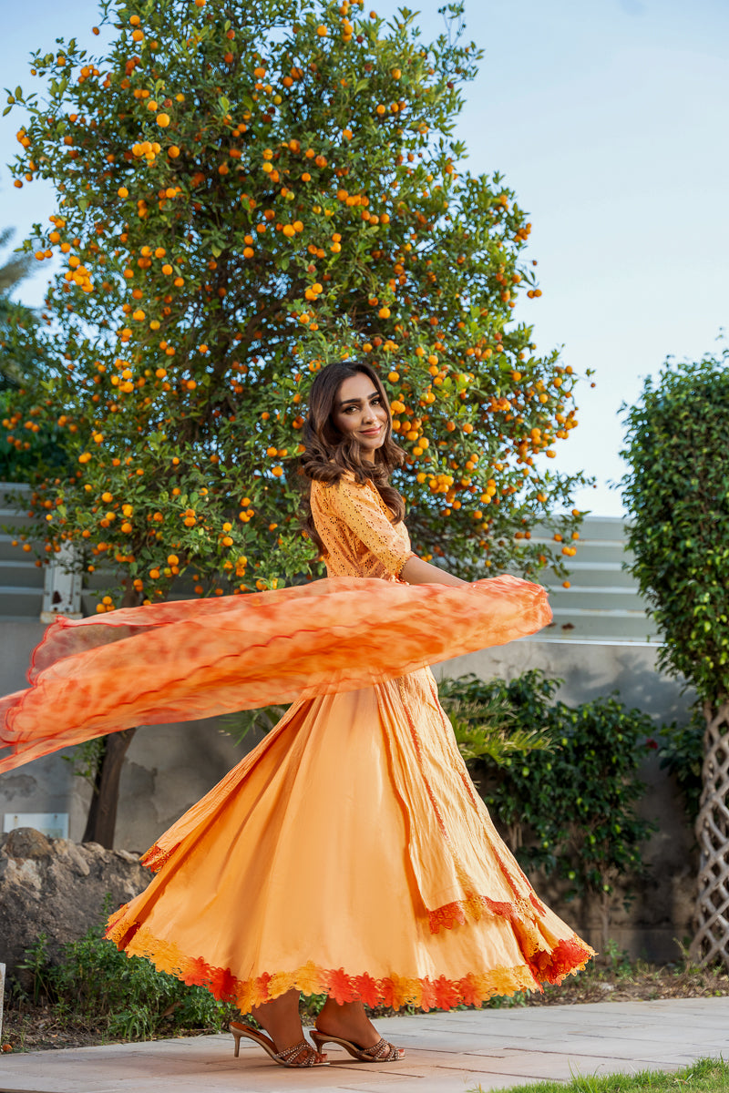 misha orange dress MISHA MIDI DRESS